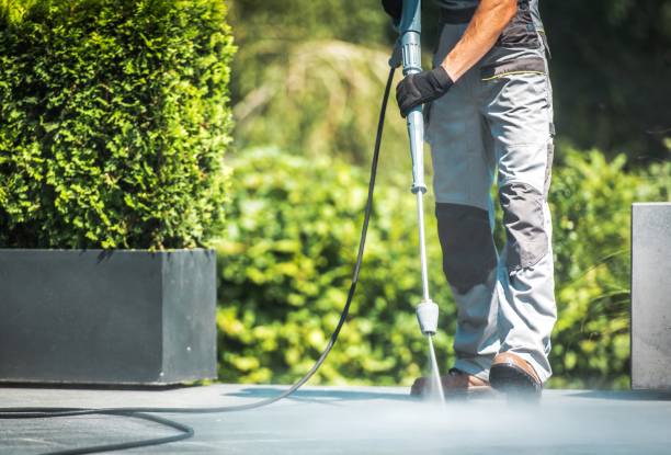 Best Building Exterior Washing  in Oak Grove, MN